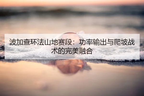 bo-jia-cha-huan-fa-shan-di-sai-duan-gong-lv-shu-chu-yu-pa-po-zhan-shu-de-wan-mei-rong-he-2-638.jpg