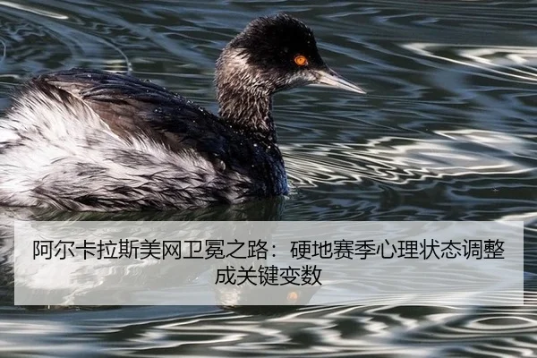 阿尔卡拉斯美网卫冕之路：硬地赛季心理状态调整成关键变数