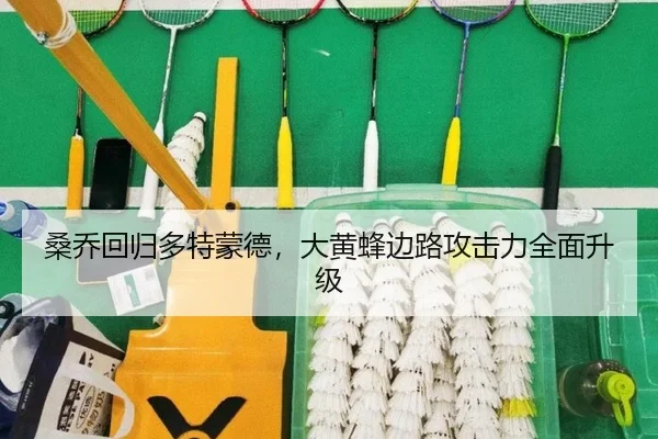 桑乔回归多特蒙德，大黄蜂边路攻击力全面升级