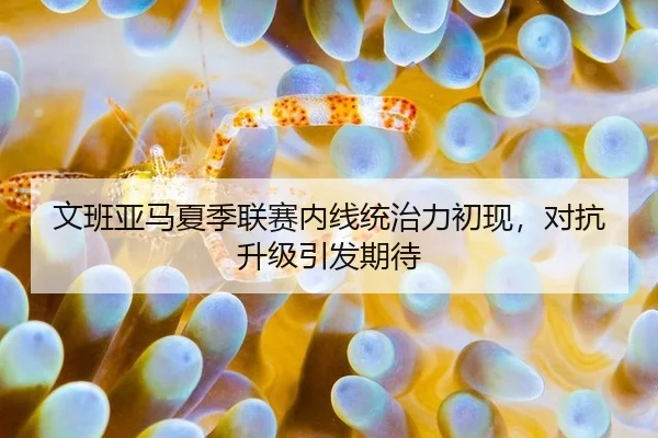 wen-ban-ya-ma-xia-ji-lian-sai-nei-xian-tong-zhi-li-chu-xian-dui-kang-sheng-ji-yin-fa-qi-dai-3-822.jpg