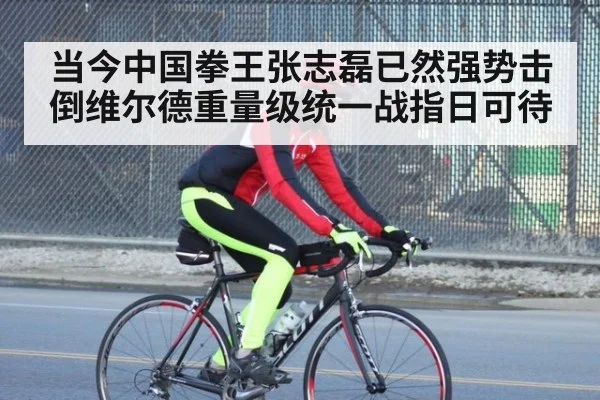 当今中国拳王张志磊已然强势击倒维尔德重量级统一战指日可待